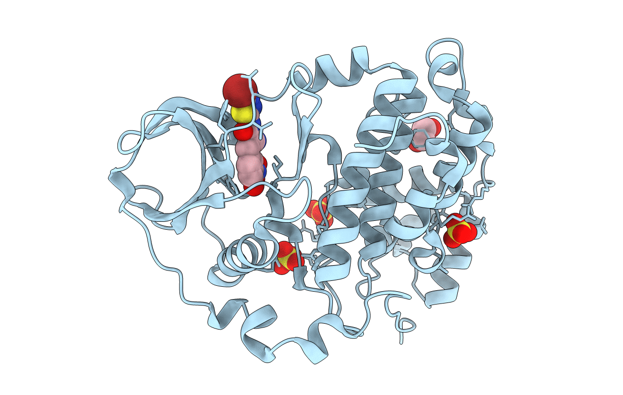 6RFF image