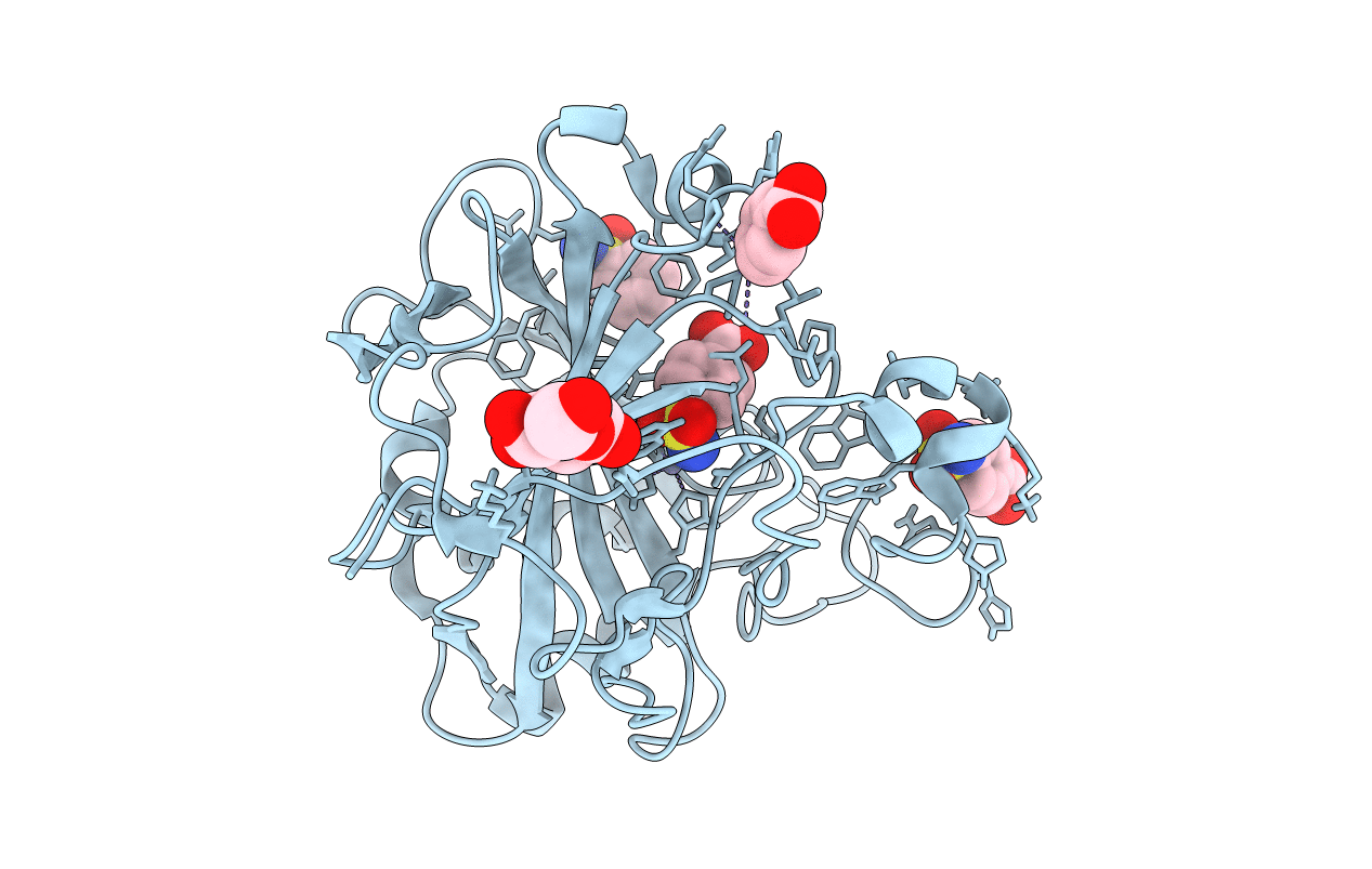 6RFH image
