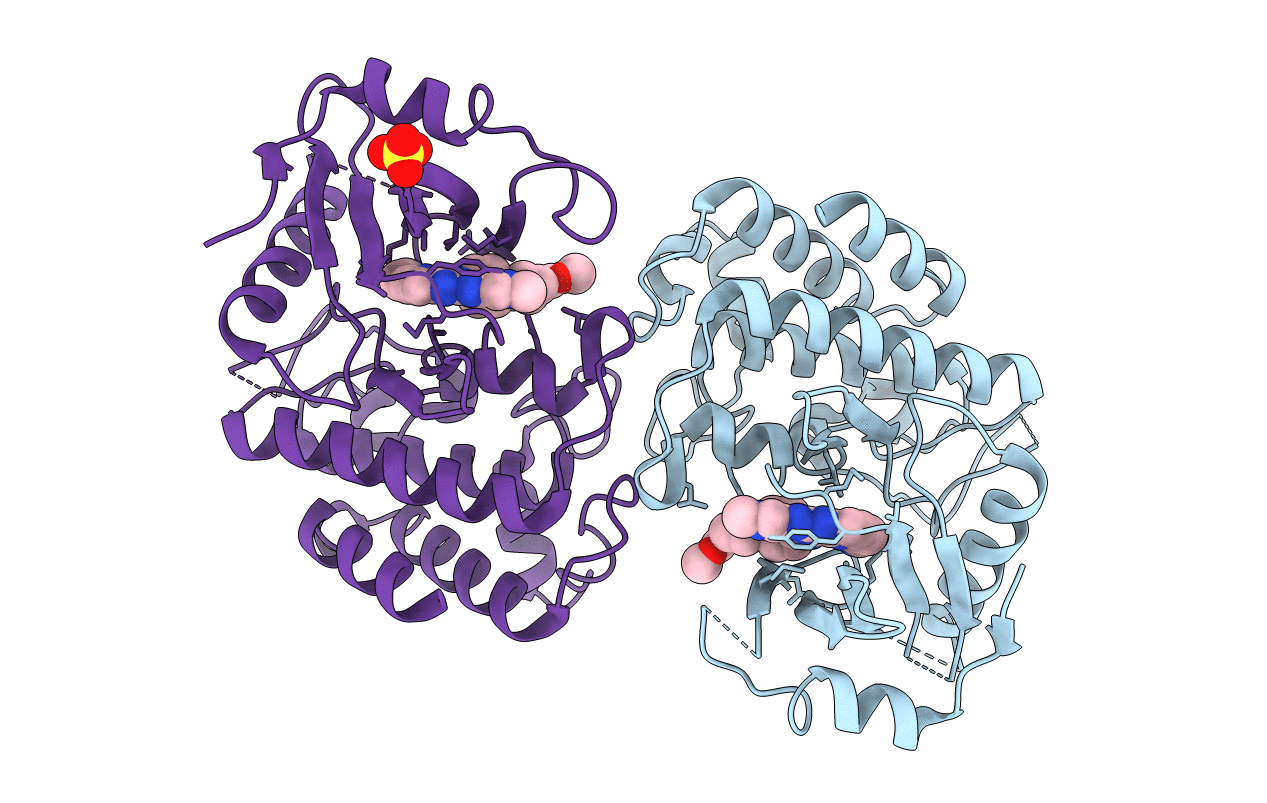 6RFJ image