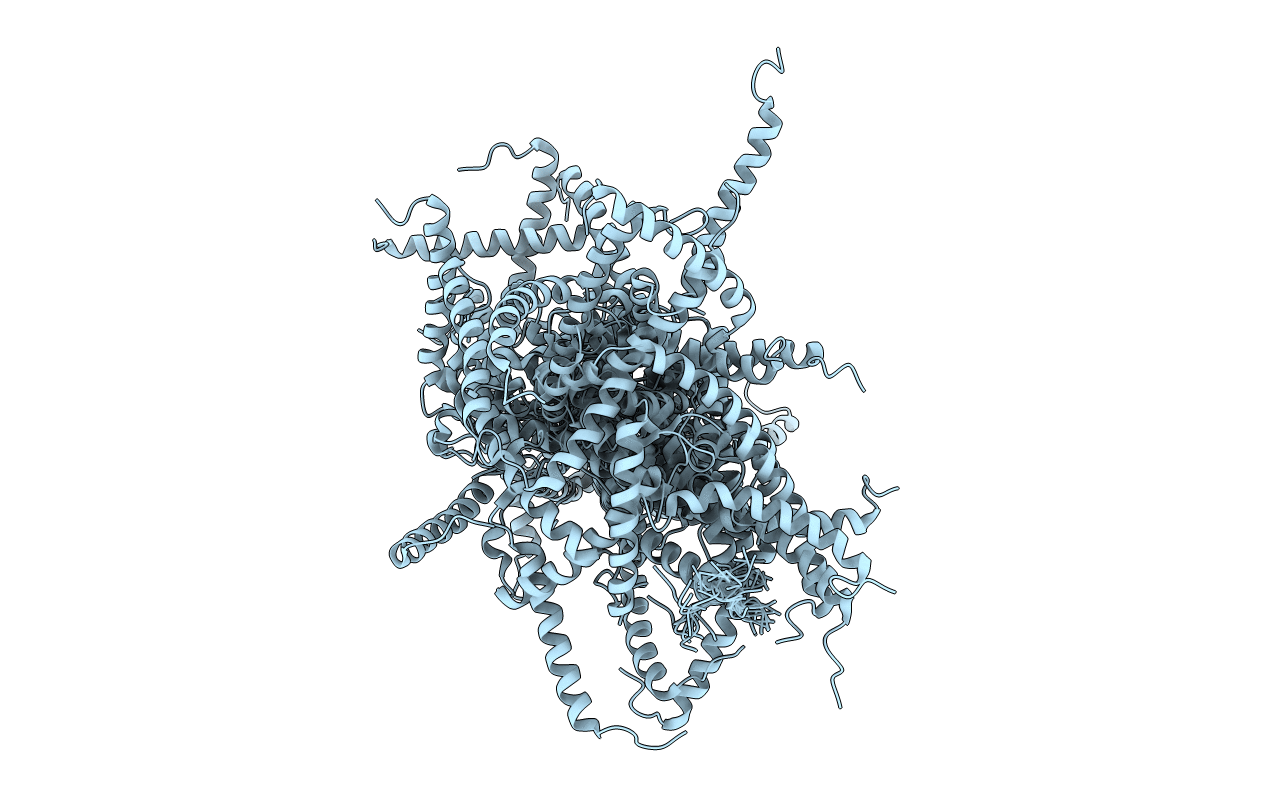 6RFM image