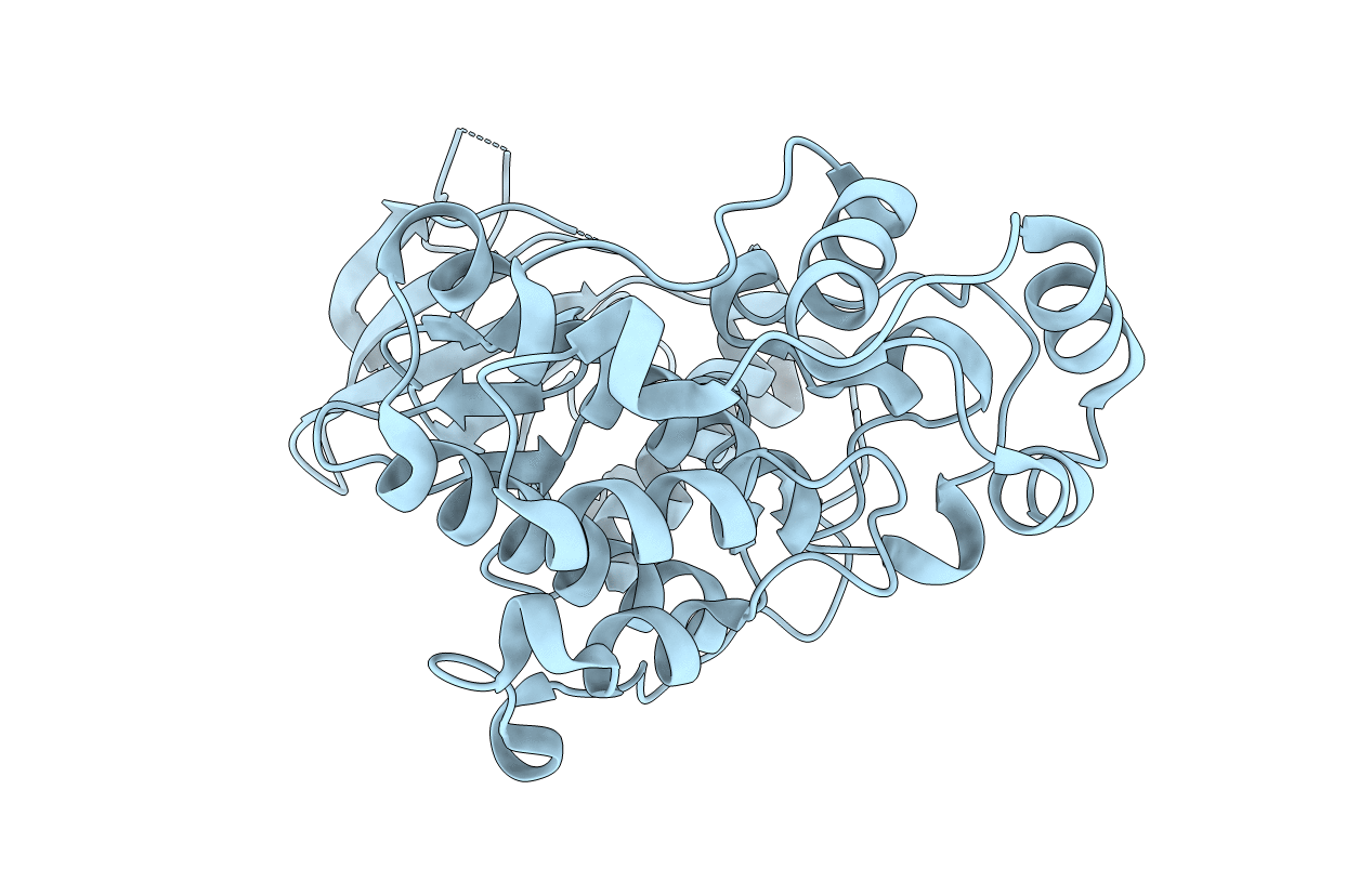 6RFP image