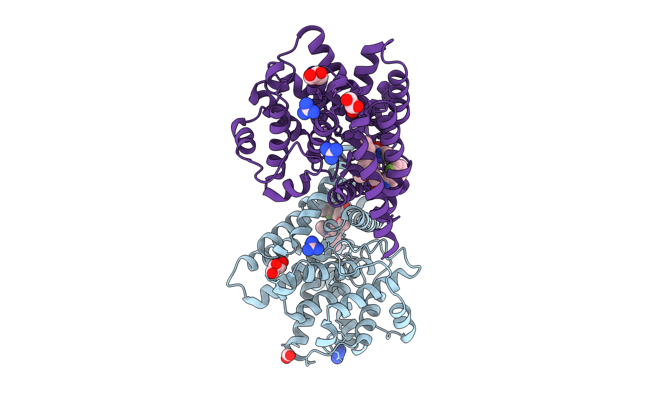 6RFW image