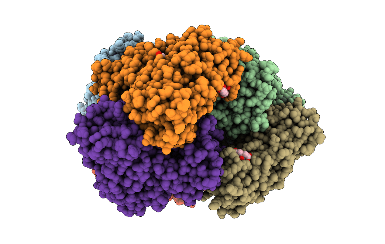 6RFX image