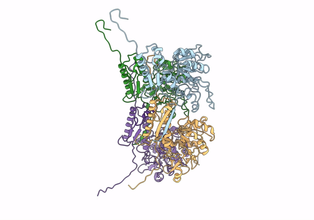 6RGL image