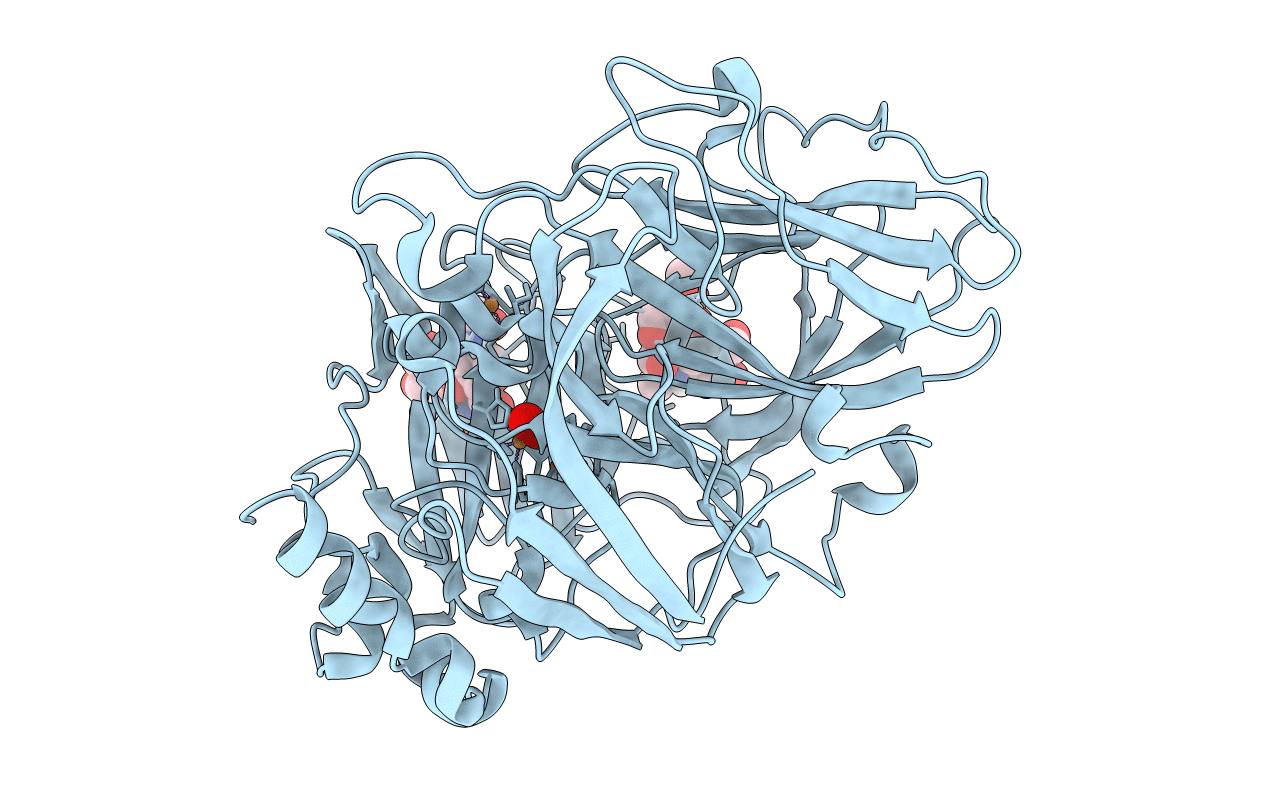 6RGP image