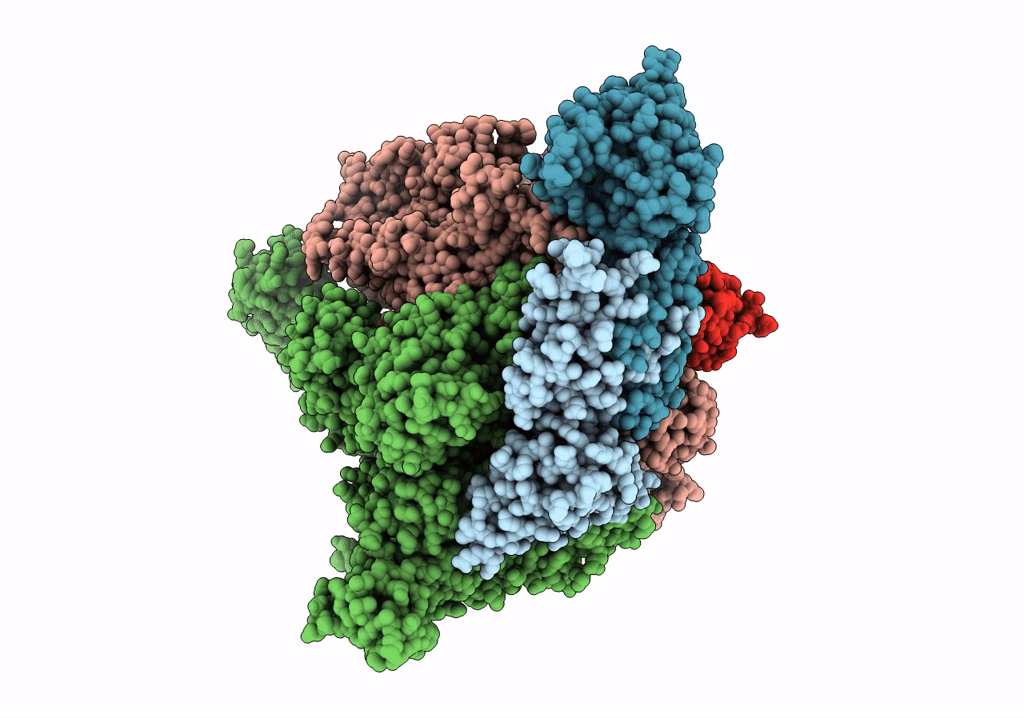 6RH3 image