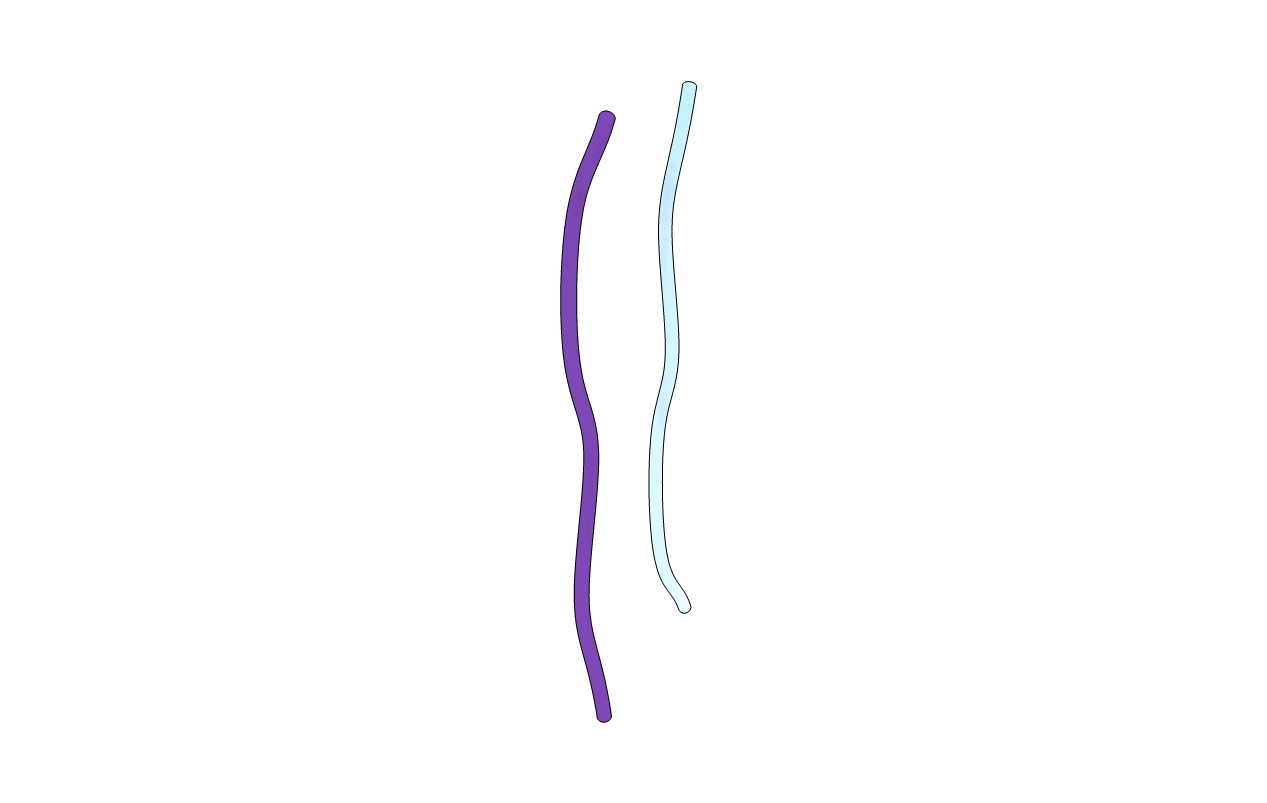 6RHA image