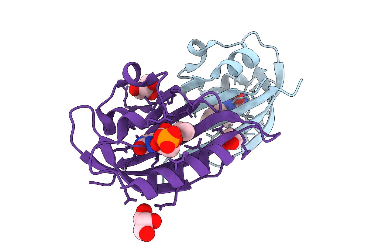6RHG image