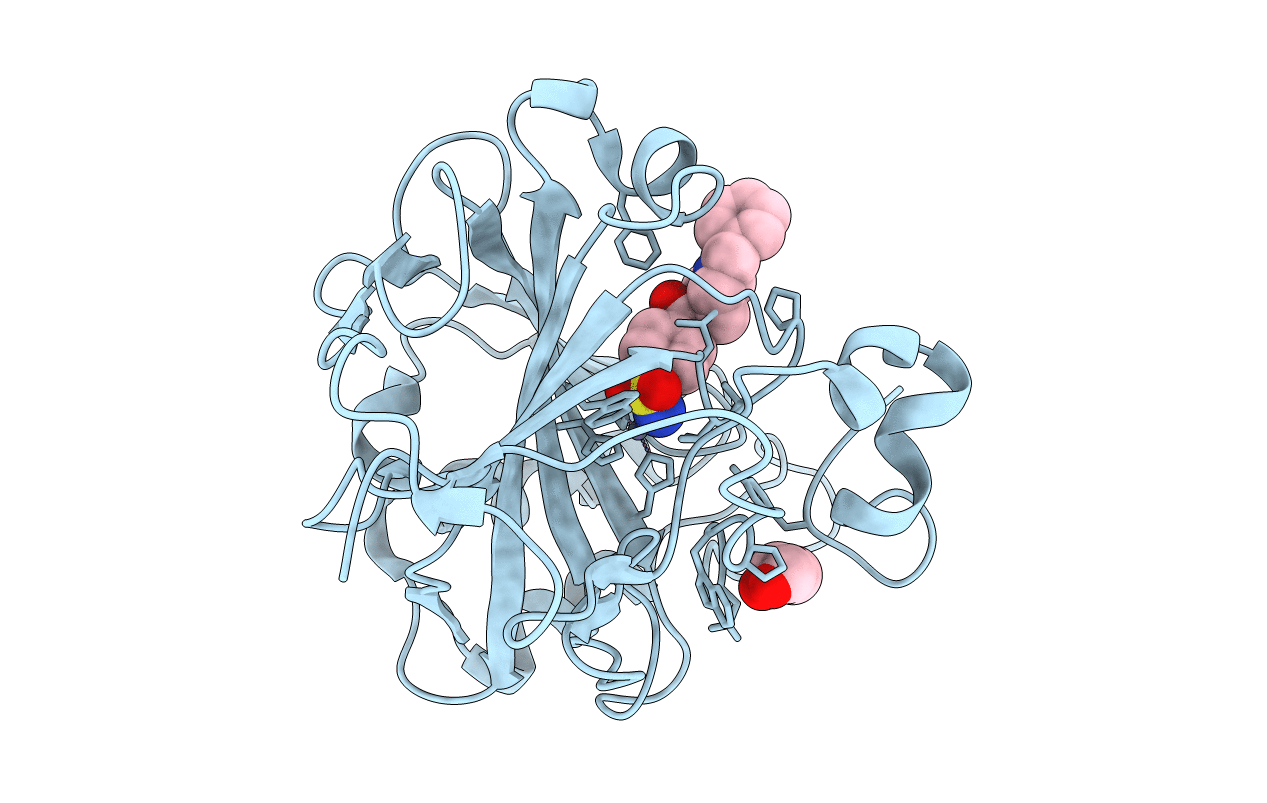 6RHJ image