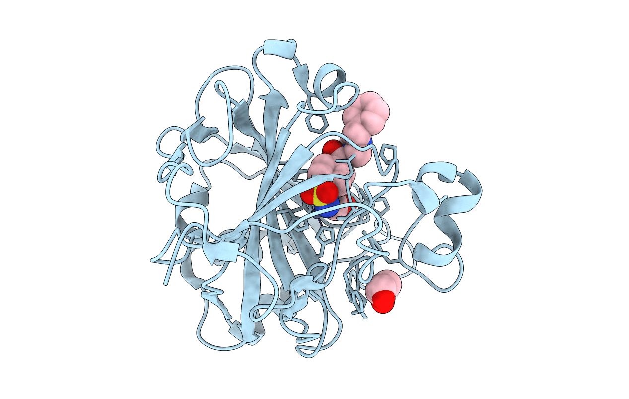 6RHK image
