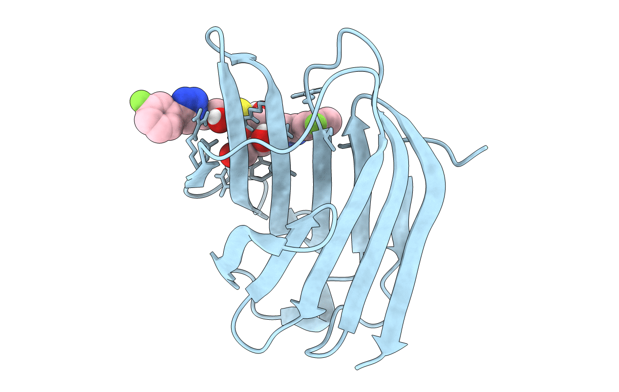 6RHL image