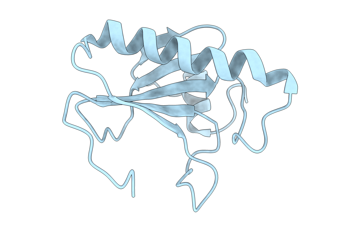 6RHN image