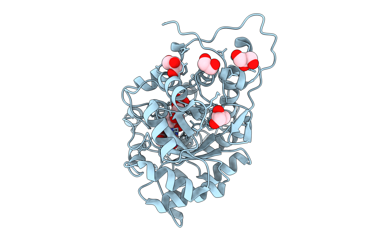 6RHT image
