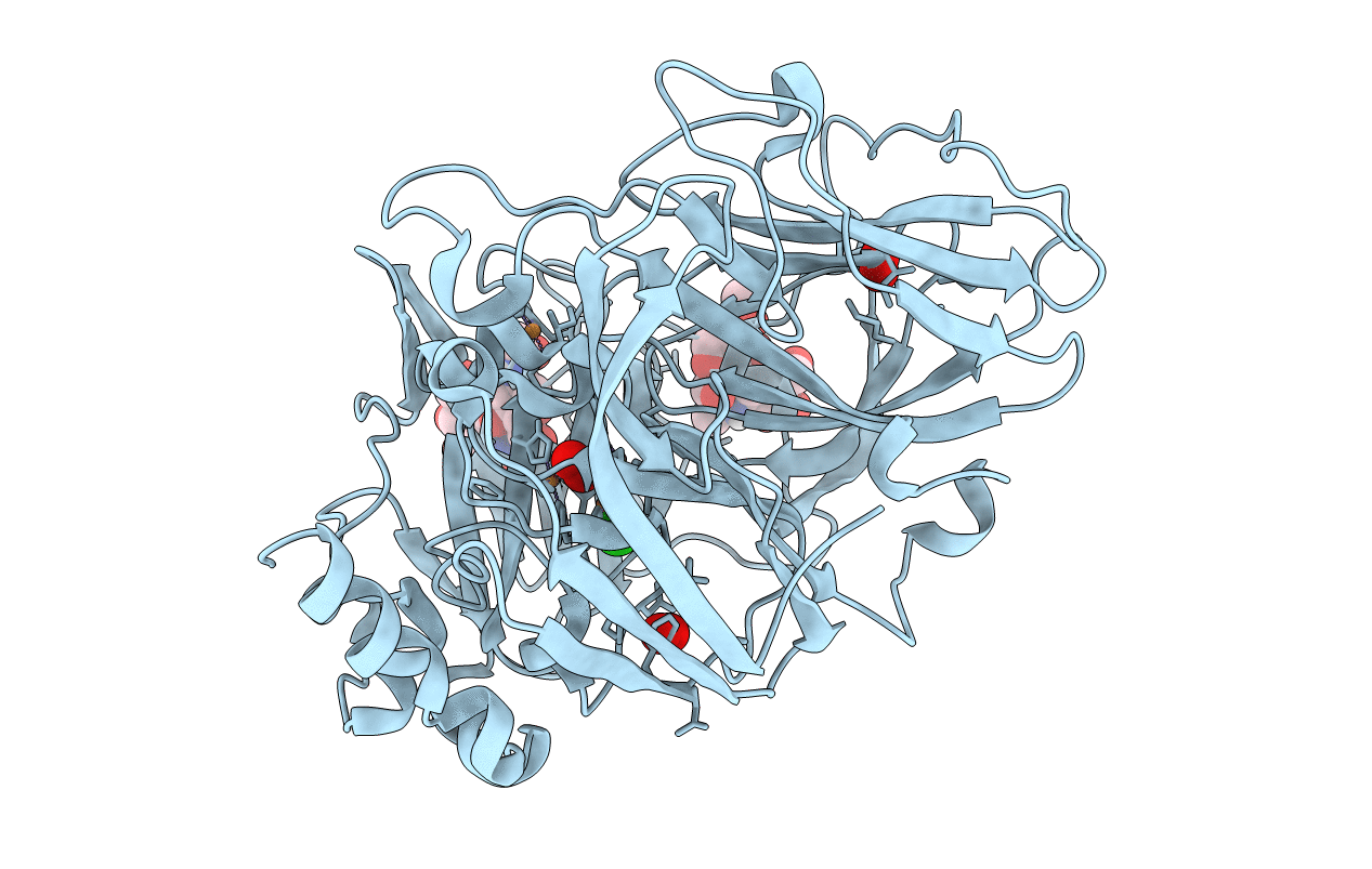 6RHX image