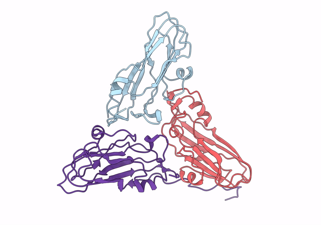 6RJ0 image