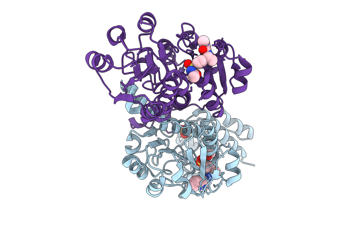 6RJ2 image