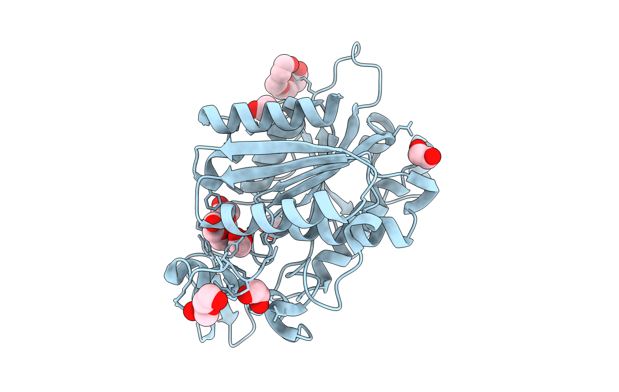 6RJ8 image