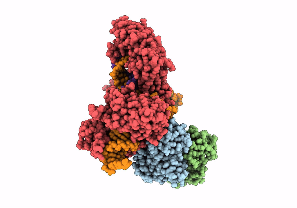 6RJ9 image