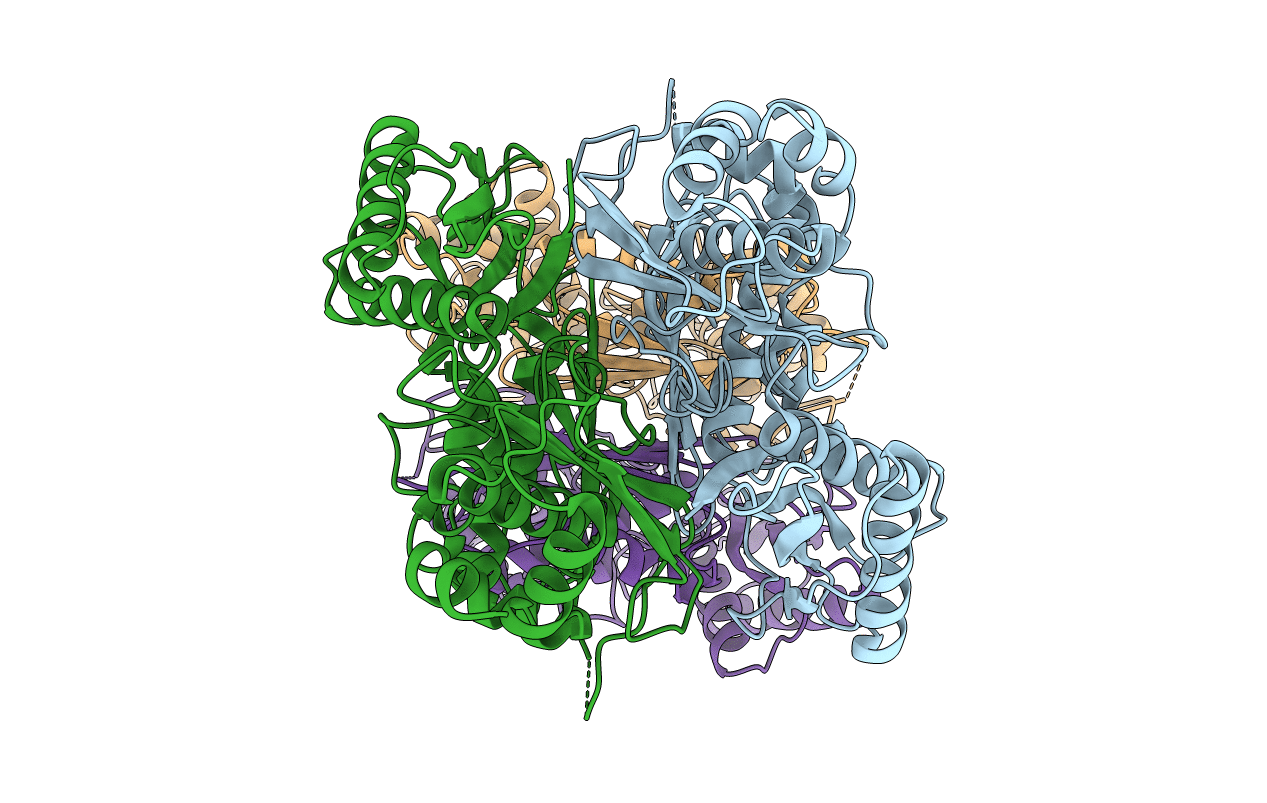 6RJS image