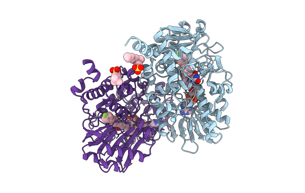 6RKB image