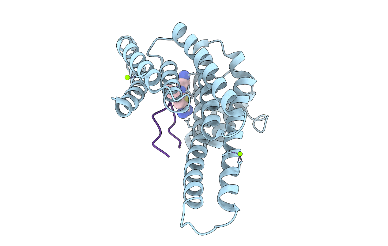6RKI image