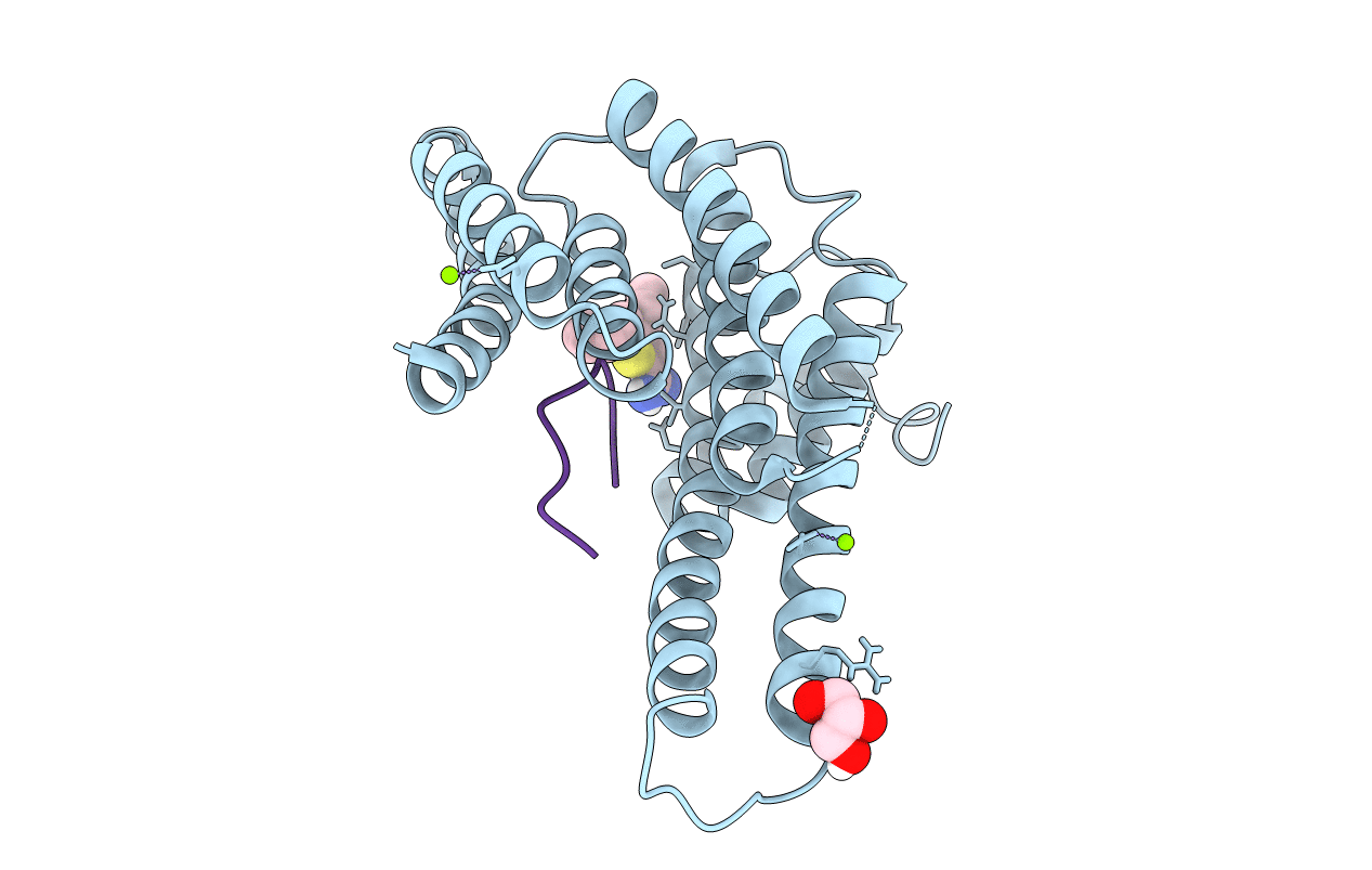 6RKK image