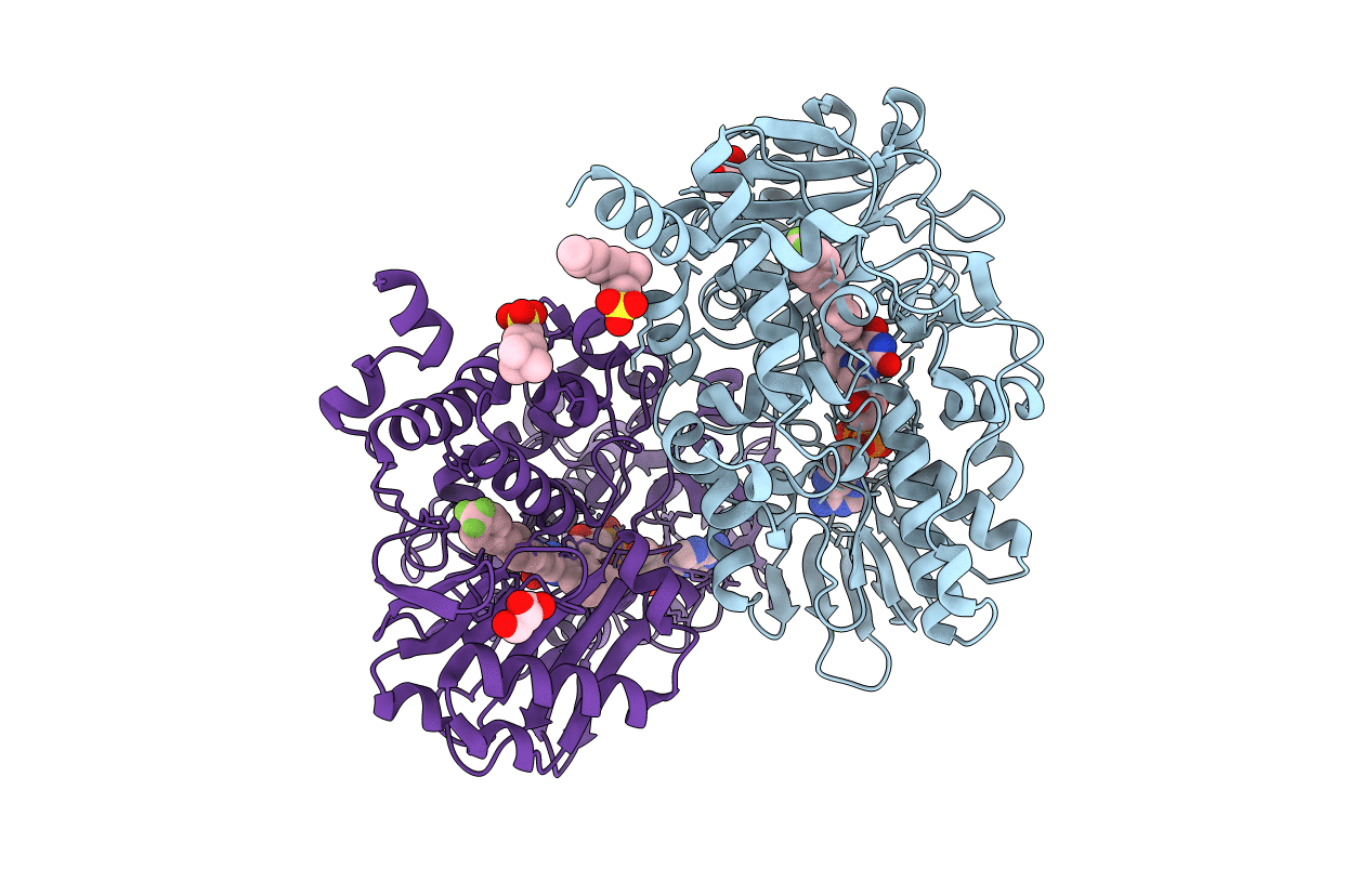 6RKP image