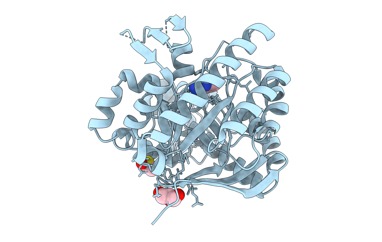 6RKT image