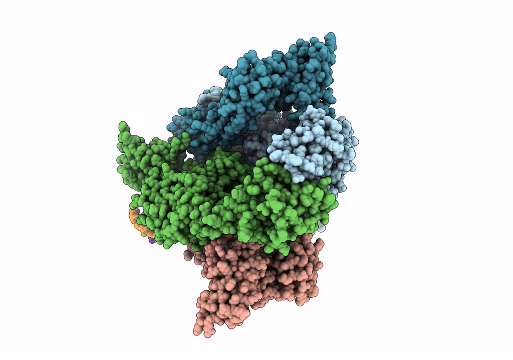 6RKV image