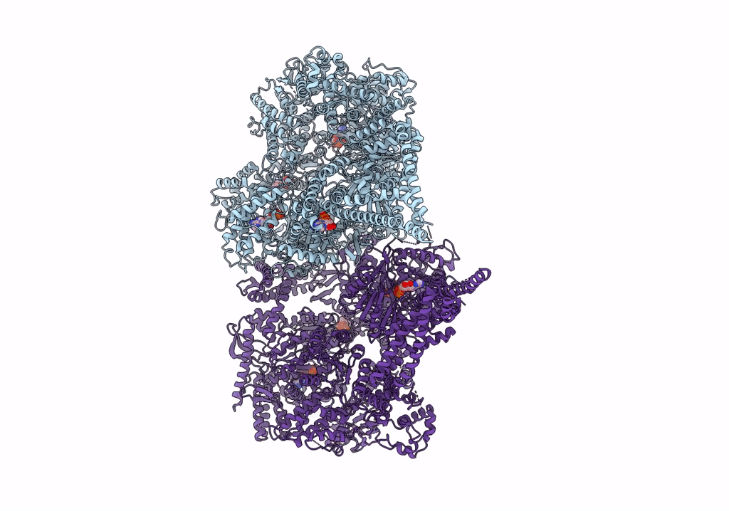 6RLA image