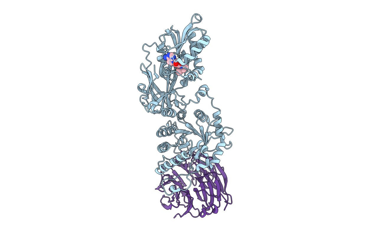 6RLL image
