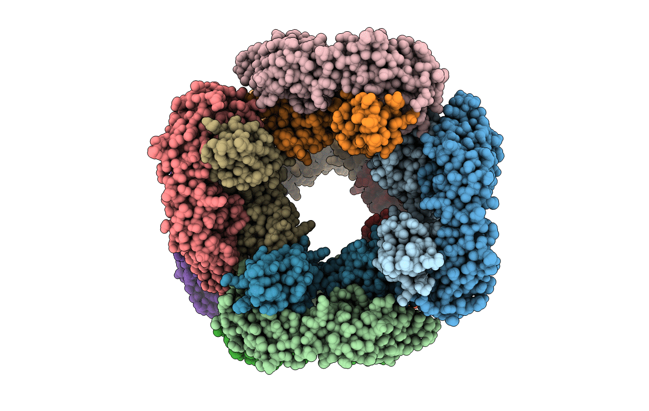 6RLM image