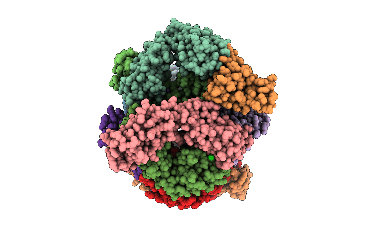 6RLO image