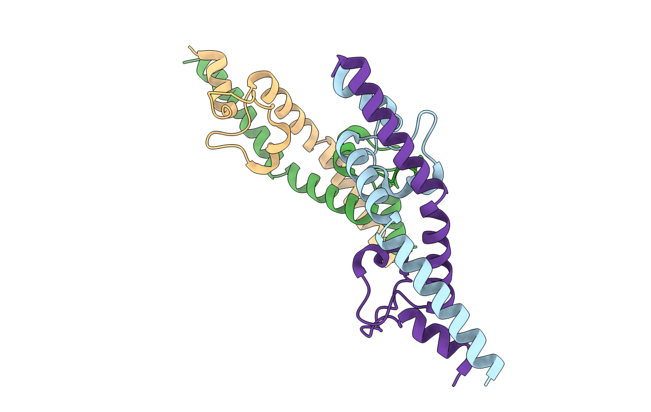 6RLR image