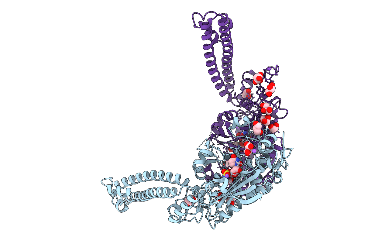 6RLT image