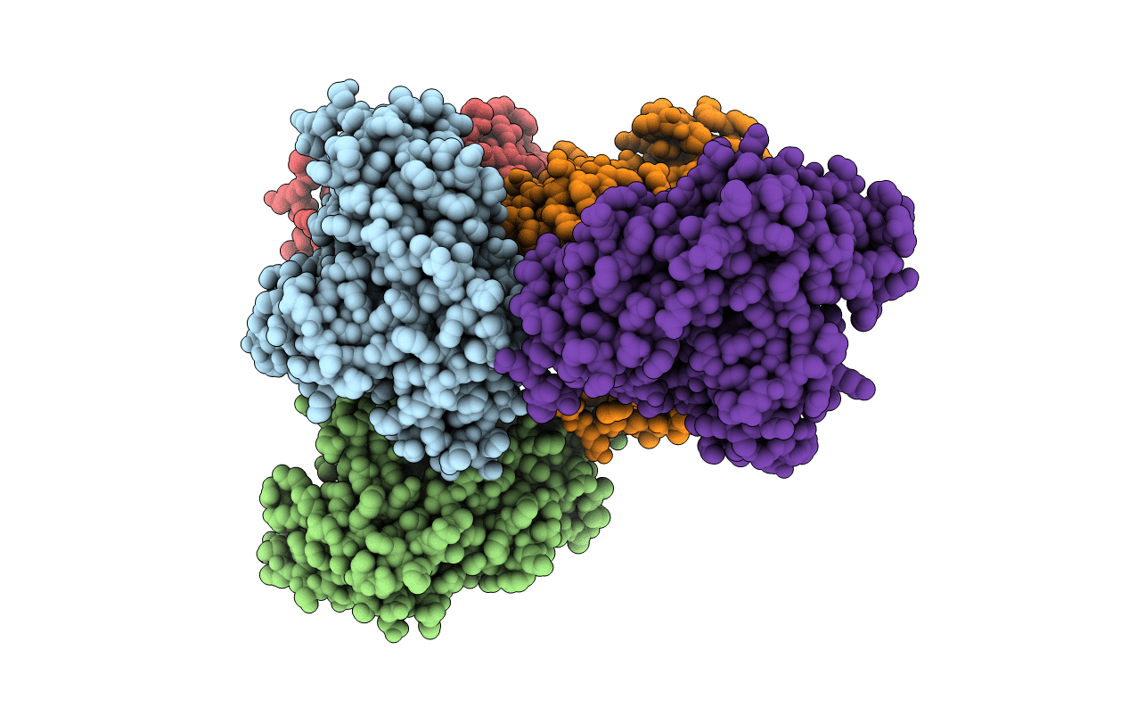 6RLW image