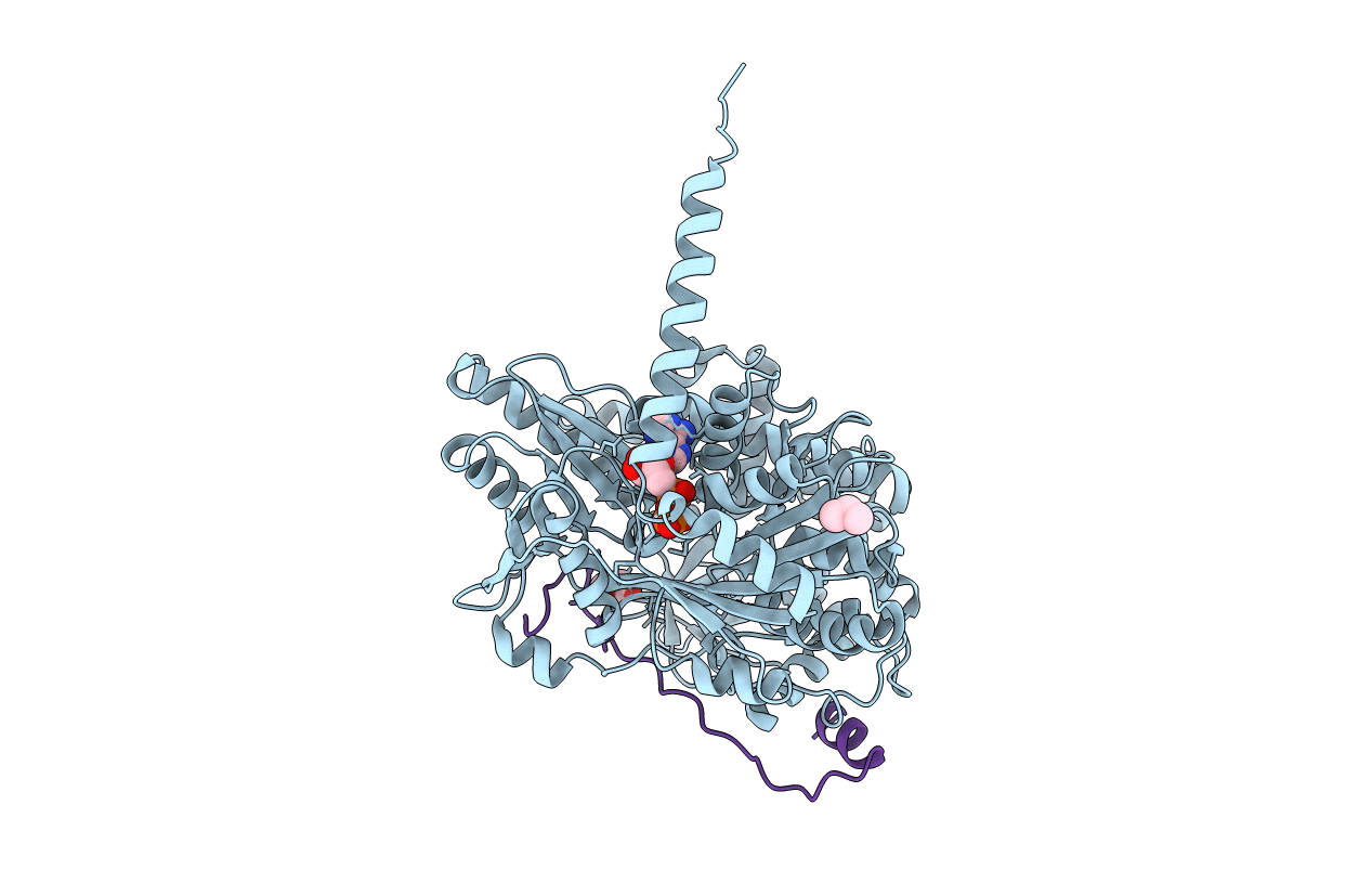 6RMA image