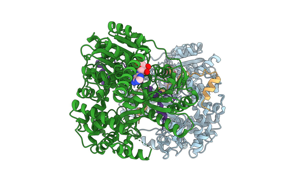 6RMC image
