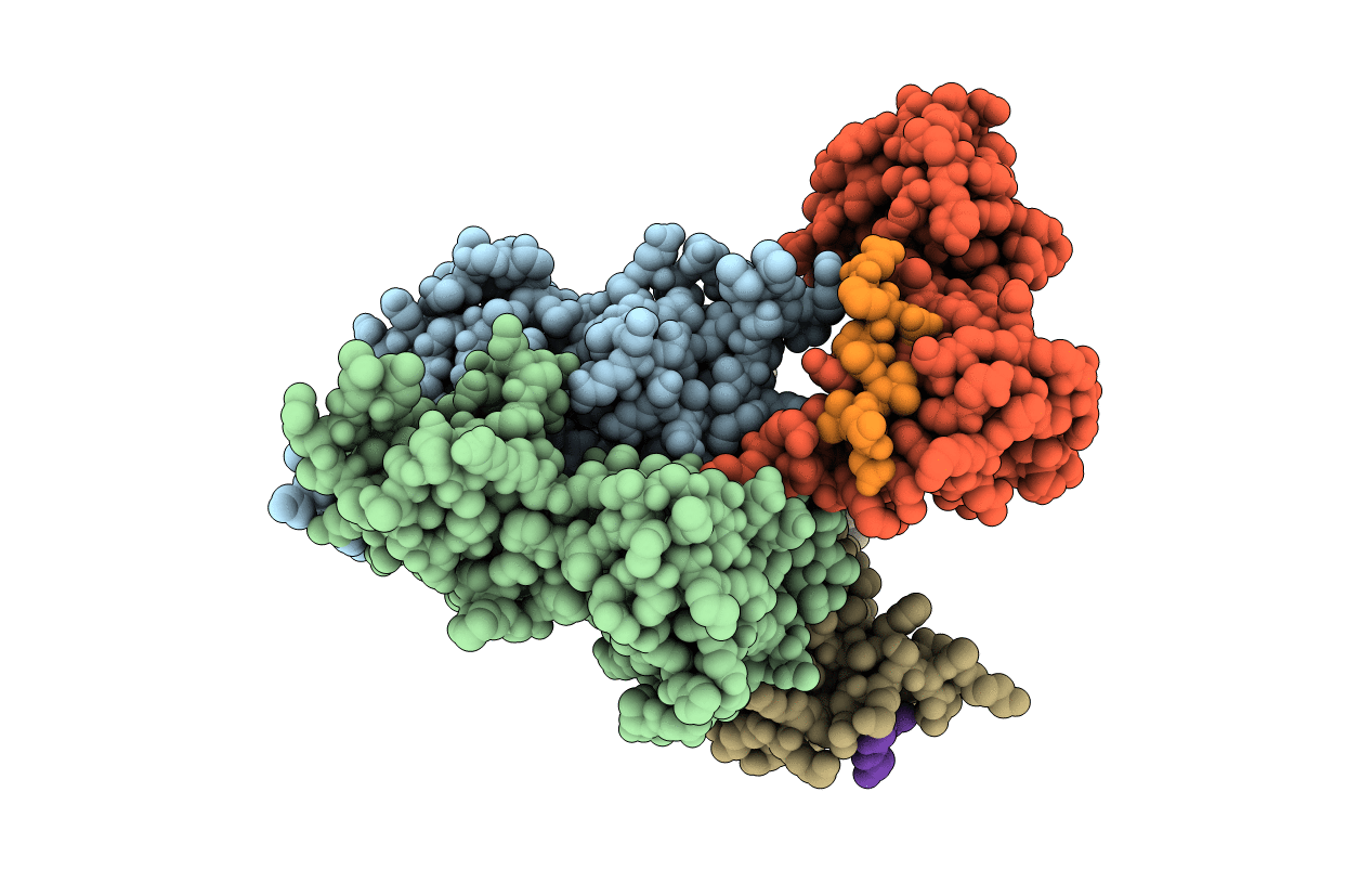 6RMM image