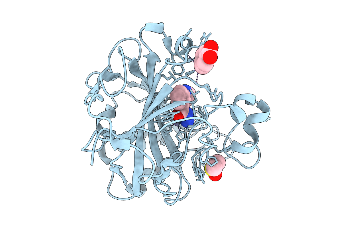 6RMP image