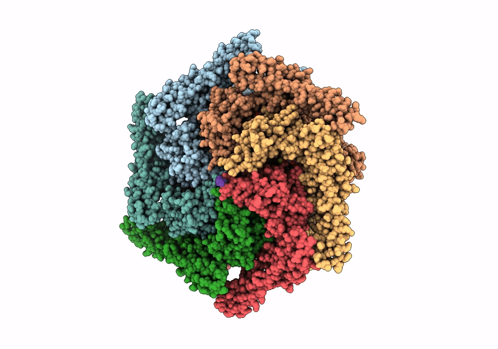 6RN2 image