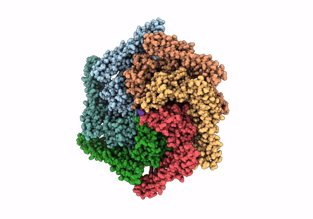 6RN3 image