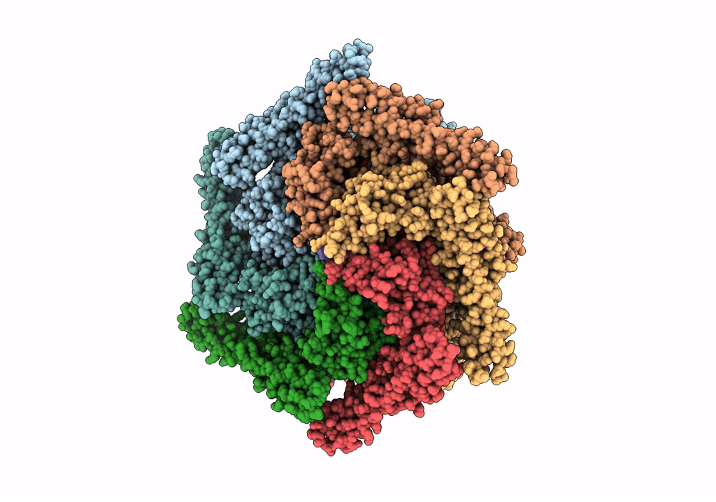 6RN4 image