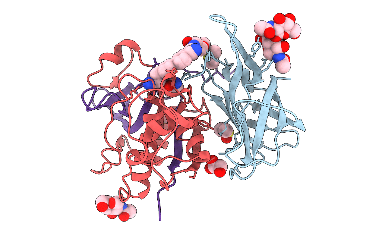 6RN7 image