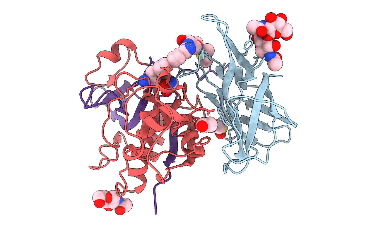 6RN9 image