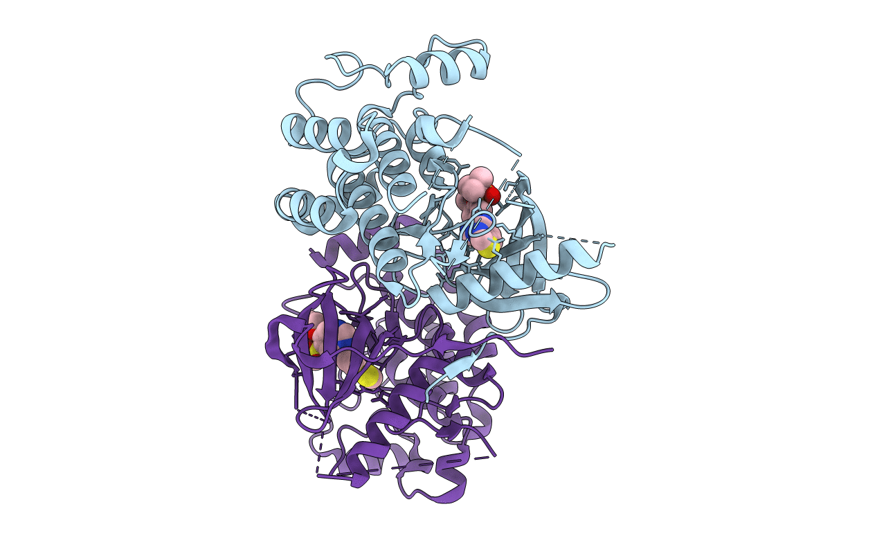 6RNA image