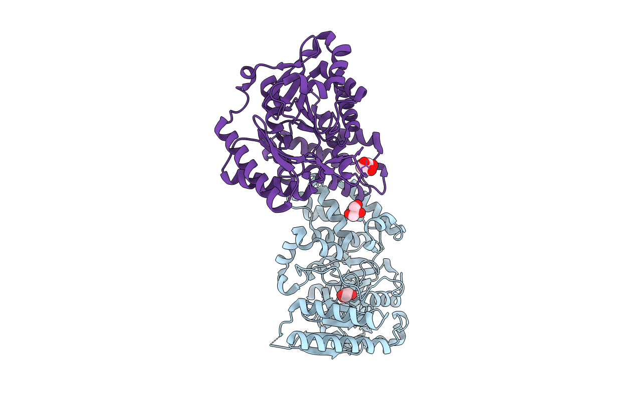 6RNH image
