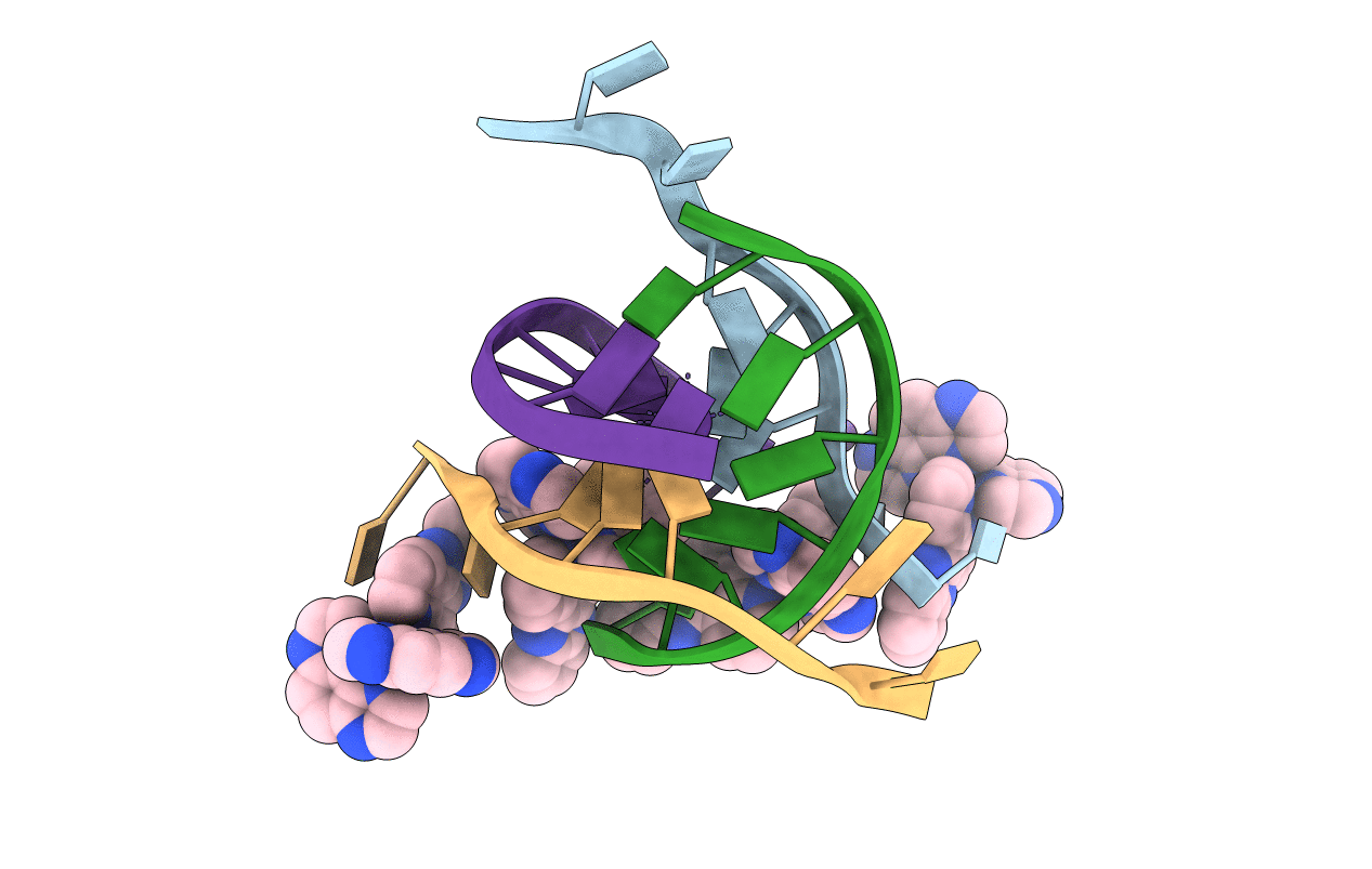 6RNL image