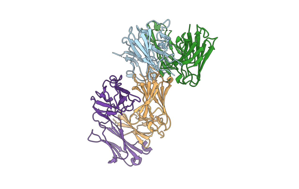 6RNN image
