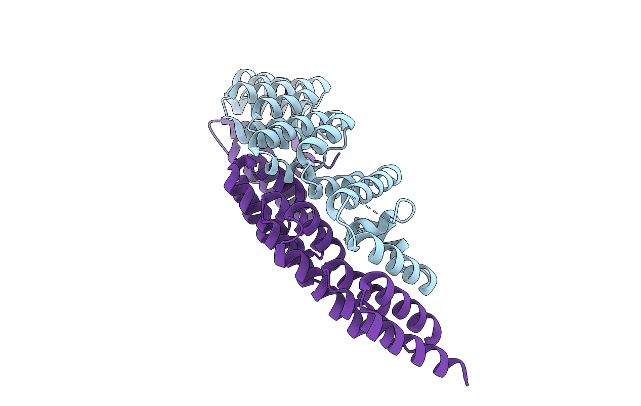 6RNS image